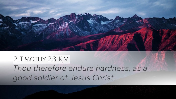 2 Timothy 2:3 KJV Bible Verse Image
