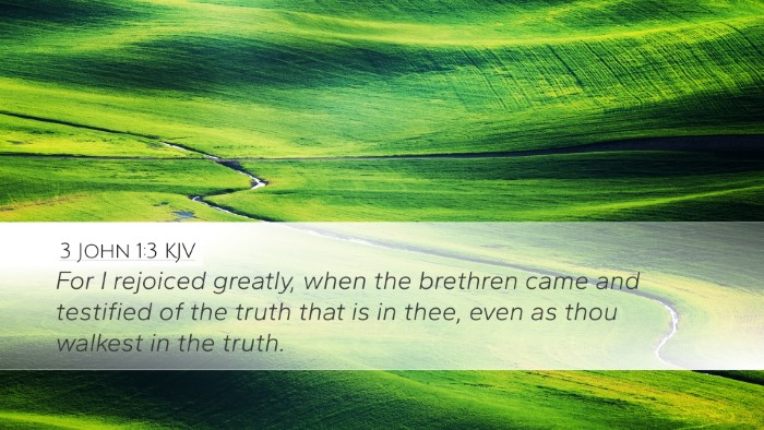 3 John 1:3 KJV Bible Verse Image
