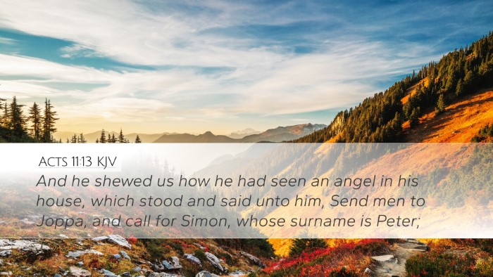 Acts 11:13 KJV Bible Verse Image