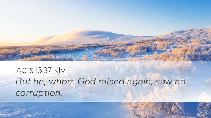 Acts 13:37 KJV Bible Verse Image