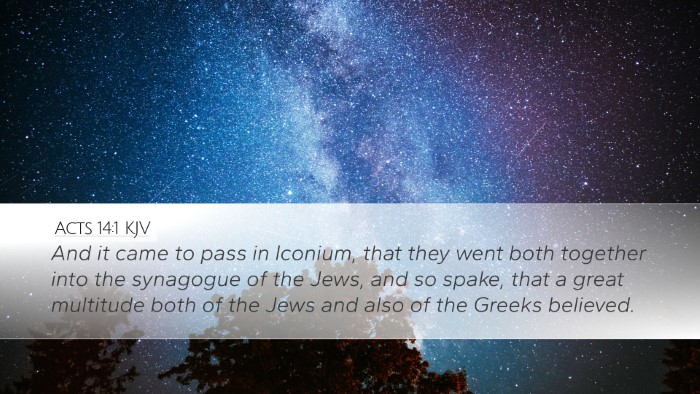 Acts 14:1 KJV Bible Verse Image