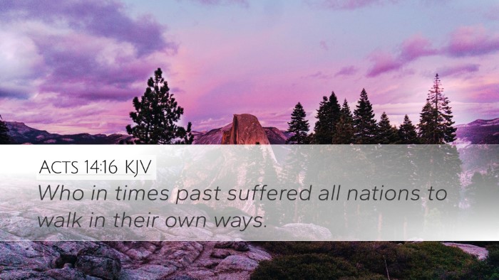 Acts 14:16 KJV Bible Verse Image