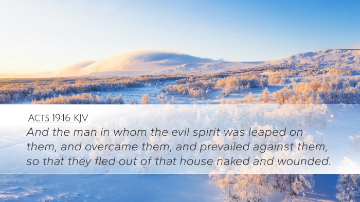 Acts 19:16 KJV Desktop Wallpaper - And the man in whom the evil spirit was leaped on - Desktop Bible Verse Wallpaper