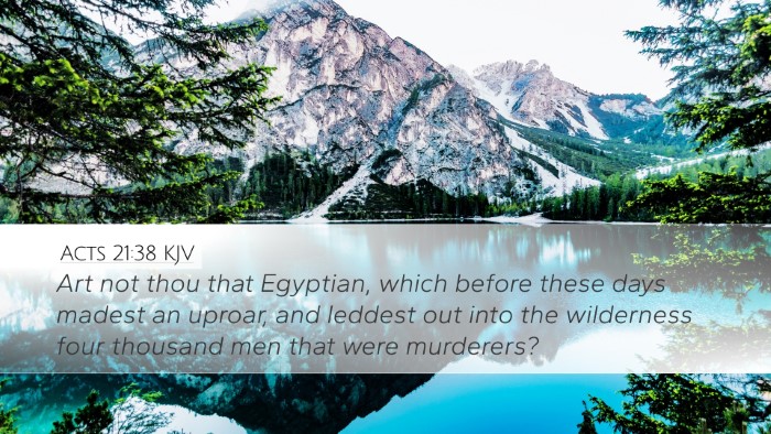 Acts 21:38 KJV Bible Verse Image