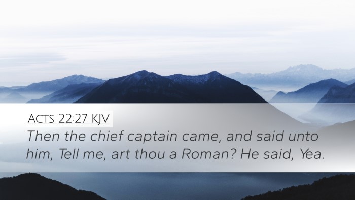 Acts 22:27 KJV Bible Verse Image