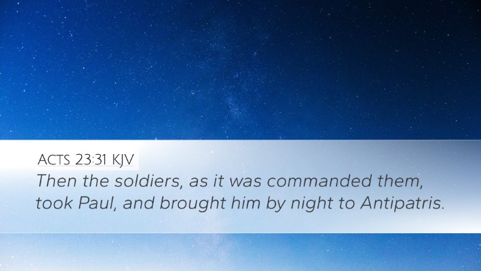Acts 23:31 KJV Desktop Wallpaper - Then the soldiers, as it was commanded them, took - Desktop Bible Verse Wallpaper