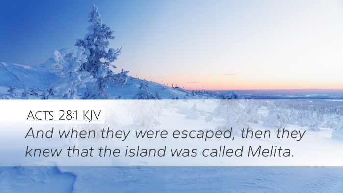 Acts 28:1 KJV Bible Verse Image