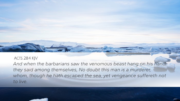 Acts 28:4 KJV Bible Verse Image