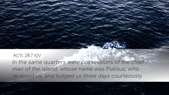 Acts 28:7 KJV Bible Verse Image
