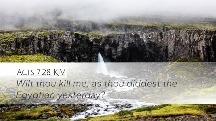 Acts 7:28 KJV Bible Verse Image