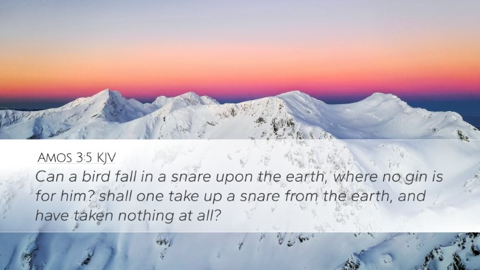 Amos 3:5 KJV Bible Verse Image