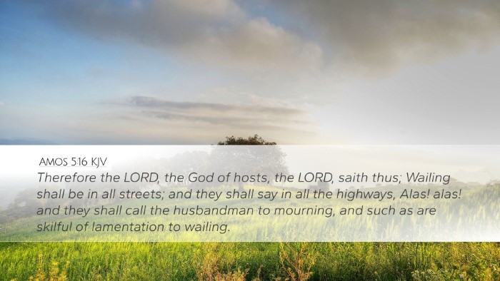 Amos 5:16 KJV Bible Verse Image