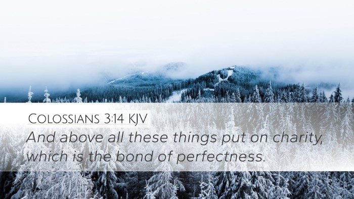 Colossians 3:14 KJV Bible Verse Image