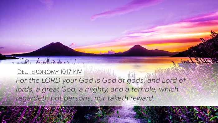 Deuteronomy 10:17 KJV Bible Verse Image