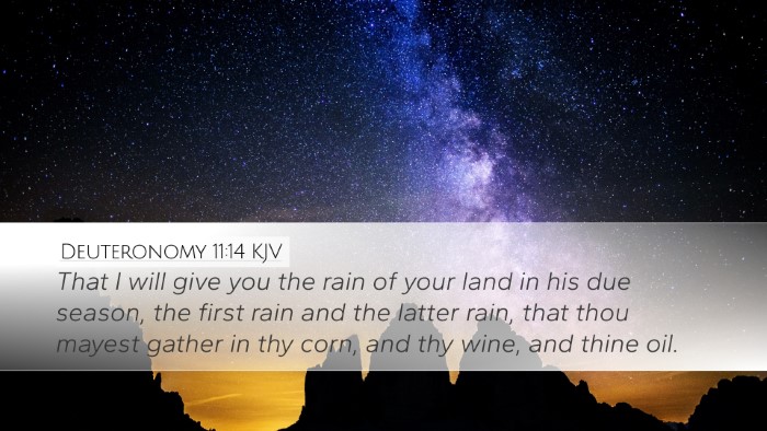 Deuteronomy 11:14 KJV Bible Verse Image