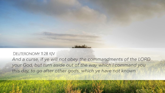 Deuteronomy 11:28 KJV Bible Verse Image