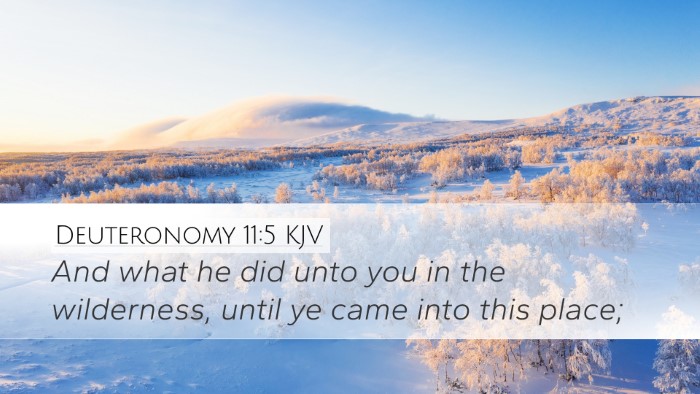Deuteronomy 11:5 KJV Desktop Wallpaper - And what he did unto you in the wilderness, until - Desktop Bible Verse Wallpaper
