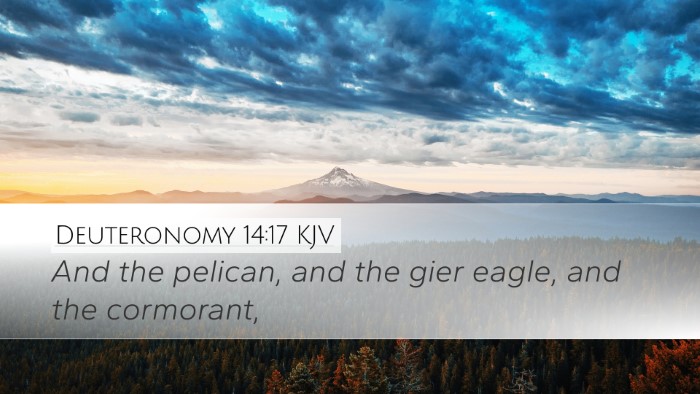 Deuteronomy 14:17 KJV Desktop Wallpaper - And the pelican, and the gier eagle, and the - Desktop Bible Verse Wallpaper