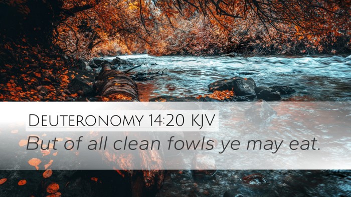 Deuteronomy 14:20 KJV Desktop Wallpaper - But of all clean fowls ye may - Desktop Bible Verse Wallpaper