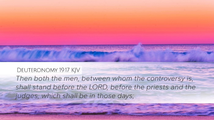 Deuteronomy 19:17 KJV Bible Verse Image