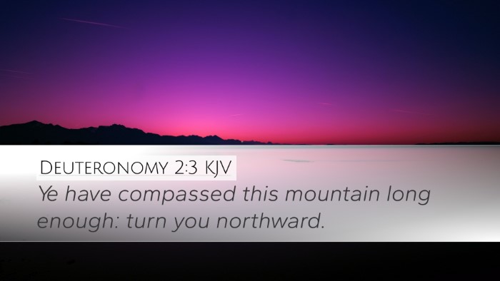 Deuteronomy 2:3 KJV Desktop Wallpaper - Ye have compassed this mountain long enough: turn - Desktop Bible Verse Wallpaper