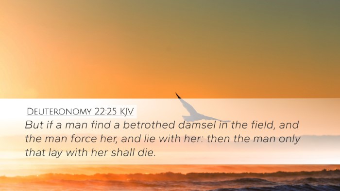 Deuteronomy 22:25 KJV Desktop Wallpaper - But if a man find a betrothed damsel in the - Desktop Bible Verse Wallpaper