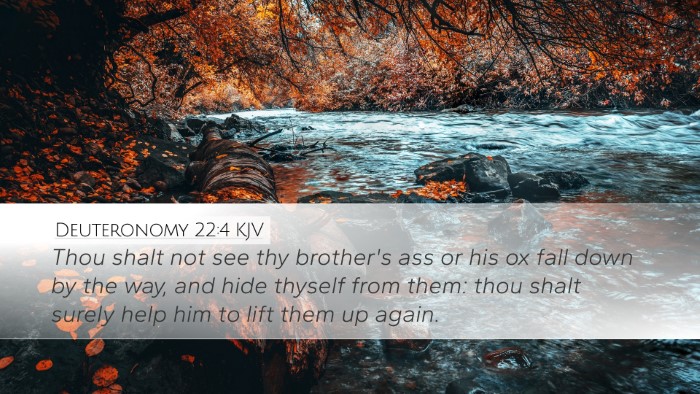 Deuteronomy 22:4 KJV Desktop Wallpaper - Thou shalt not see thy brother's ass or his ox - Desktop Bible Verse Wallpaper