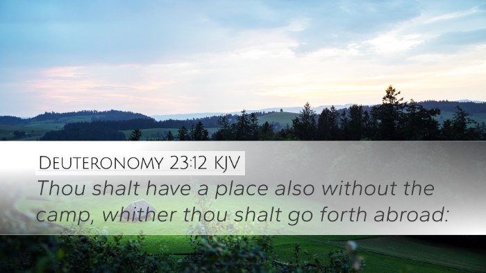 Deuteronomy 23:12 KJV Desktop Wallpaper - Thou shalt have a place also without the camp, - Desktop Bible Verse Wallpaper