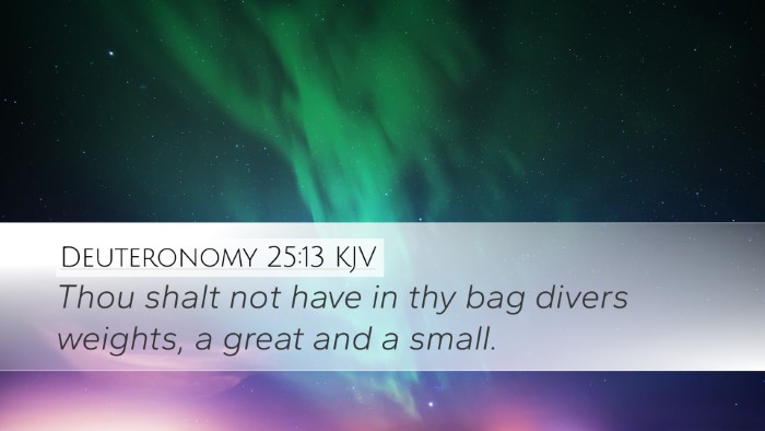 Deuteronomy 25:13 KJV Bible Verse Image