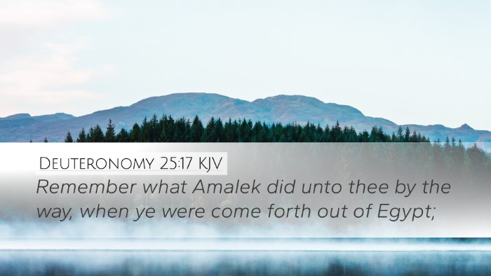 Deuteronomy 25:17 KJV Bible Verse Image