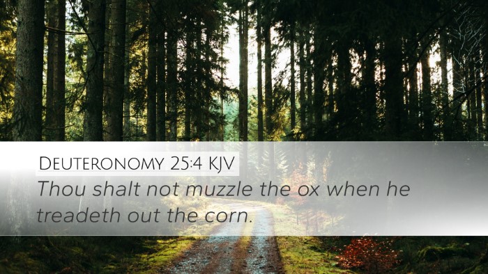 Deuteronomy 25:4 KJV Bible Verse Image