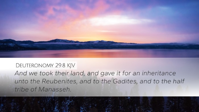 Deuteronomy 29:8 KJV Bible Verse Image