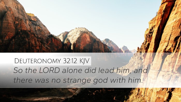 Deuteronomy 32:12 KJV Bible Verse Image