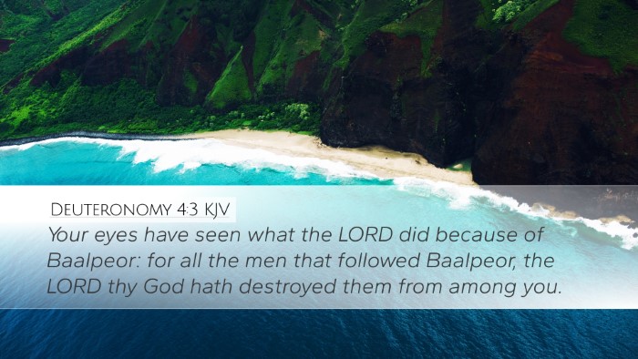 Deuteronomy 4:3 KJV Bible Verse Image