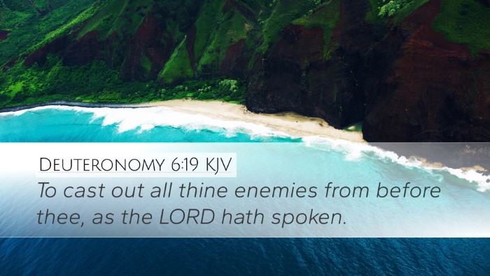 Deuteronomy 6:19 KJV Desktop Wallpaper - To cast out all thine enemies from before thee, - Desktop Bible Verse Wallpaper