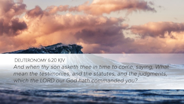 Deuteronomy 6:20 KJV Bible Verse Image