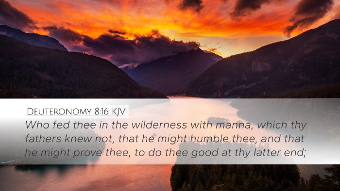 Deuteronomy 8:16 KJV Bible Verse Image