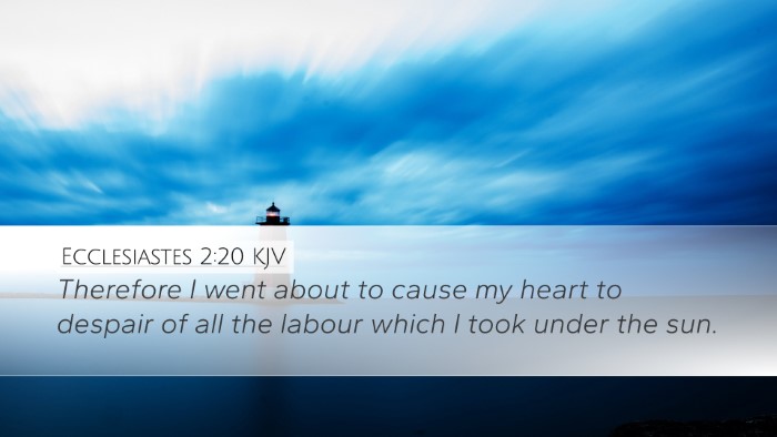 Ecclesiastes 2:20 KJV Bible Verse Image