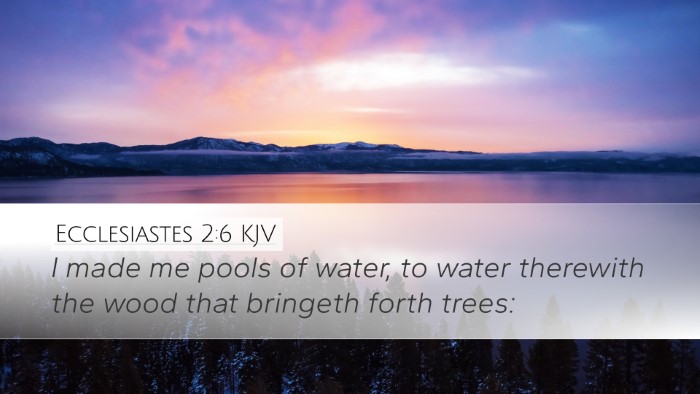 Ecclesiastes 2:6 KJV Bible Verse Image