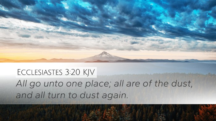 Ecclesiastes 3:20 KJV Bible Verse Image