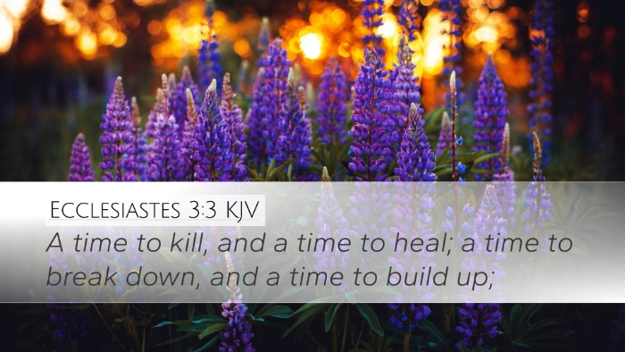 Ecclesiastes 3:3 KJV Desktop Wallpaper - A time to kill, and a time to heal; a time to - Desktop Bible Verse Wallpaper