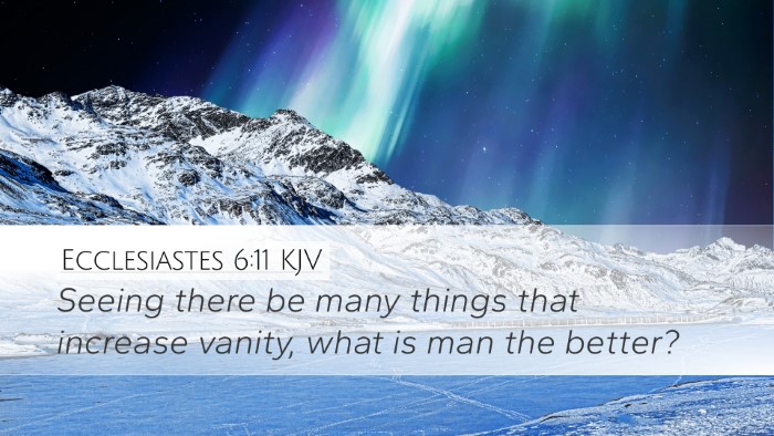Ecclesiastes 6:11 KJV Bible Verse Image