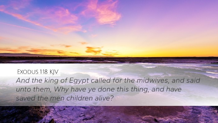 Exodus 1:18 KJV Desktop Wallpaper - And the king of Egypt called for the midwives, - Desktop Bible Verse Wallpaper