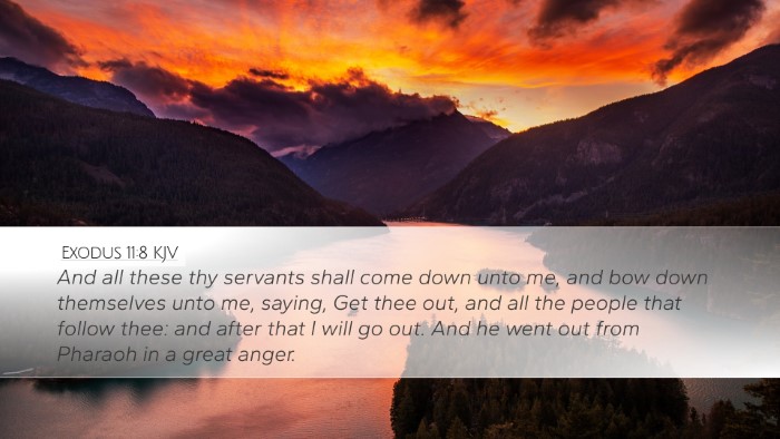 Exodus 11:8 KJV Bible Verse Image