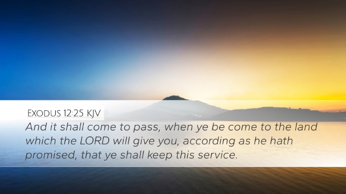 Exodus 12:25 KJV Desktop Wallpaper - And it shall come to pass, when ye be come to the - Desktop Bible Verse Wallpaper