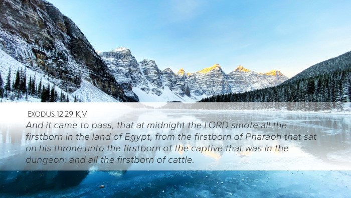 Exodus 12:29 KJV Bible Verse Image