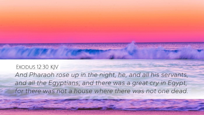 Exodus 12:30 KJV Bible Verse Image