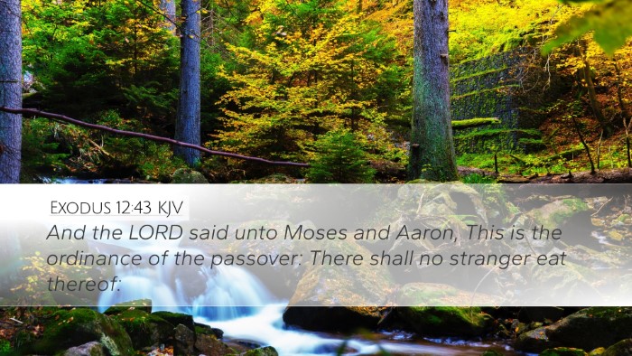 Exodus 12:43 KJV Bible Verse Image