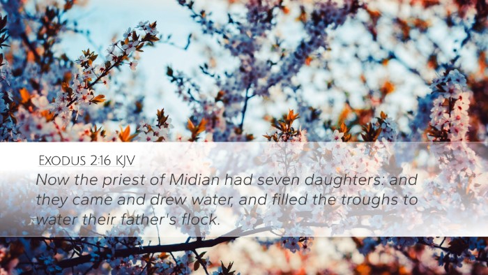 Exodus 2:16 KJV Bible Verse Image