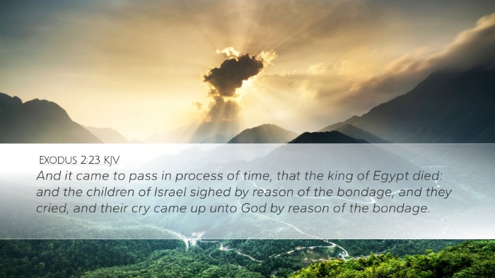 Exodus 2:23 KJV Bible Verse Image